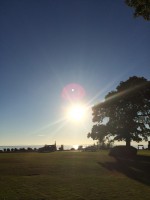 /album/making-learning-visible5/img-0209-jpg/